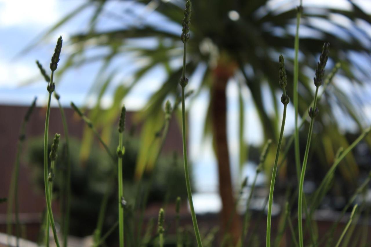 la poussada La Palme Exterior foto